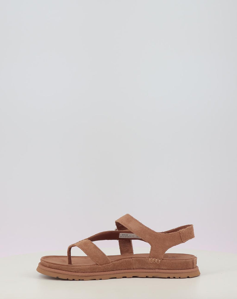 Sandales UGG GOLDENGAZE TOE POST chestnut