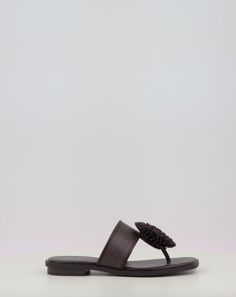 Sandales NOA HARMON PETAL marron