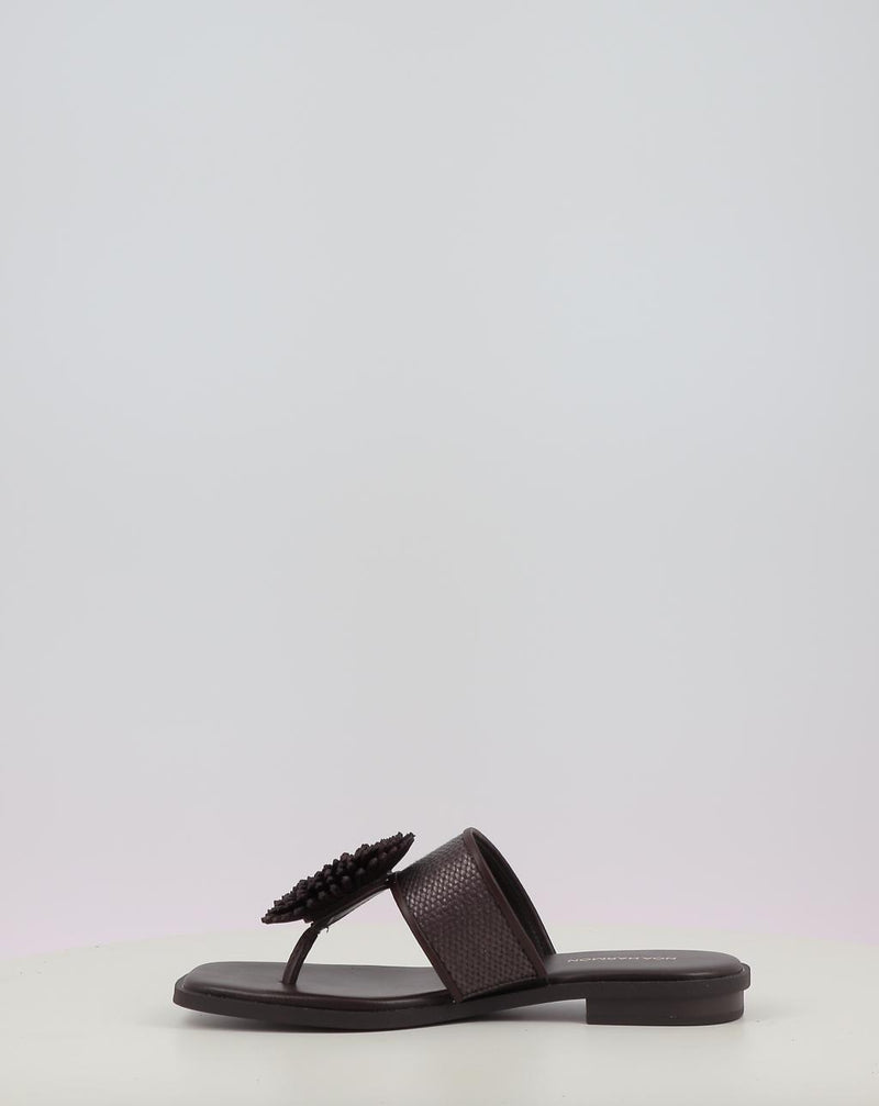 Sandales NOA HARMON PETAL marron