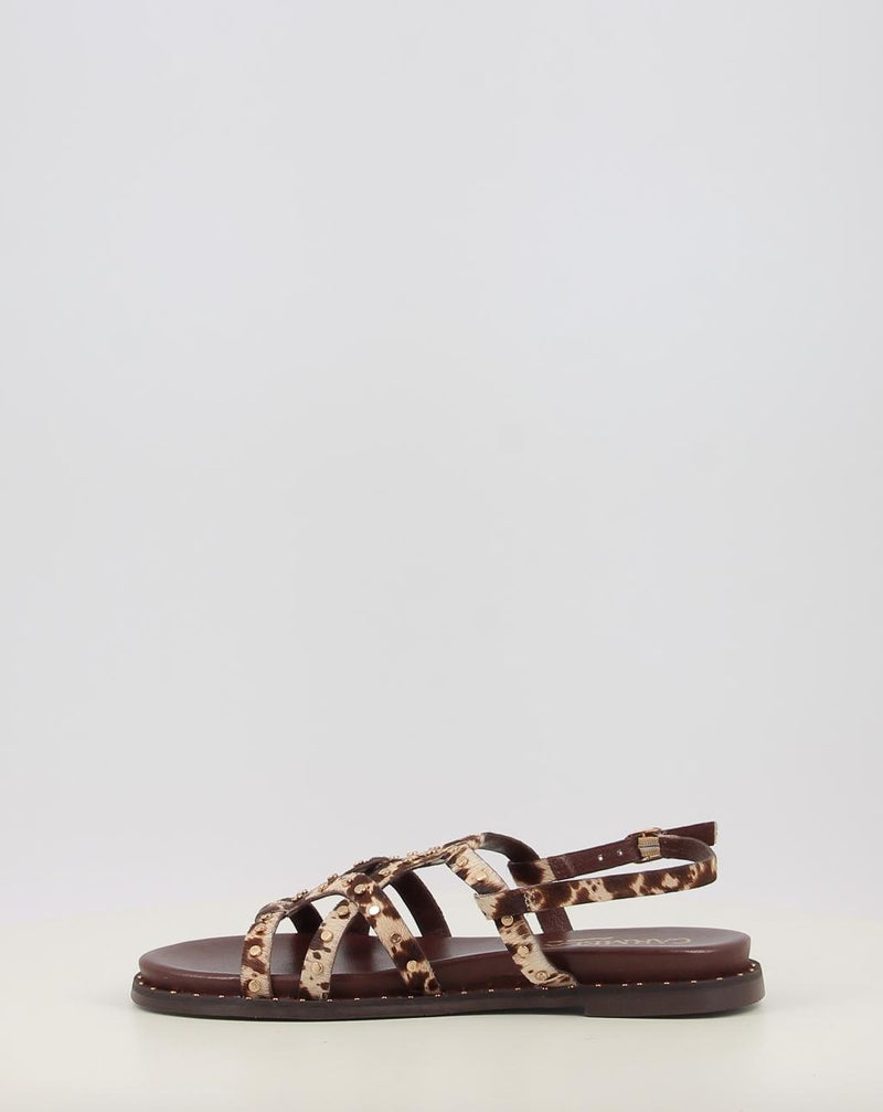Sandales CARMELA 16239207 animal print