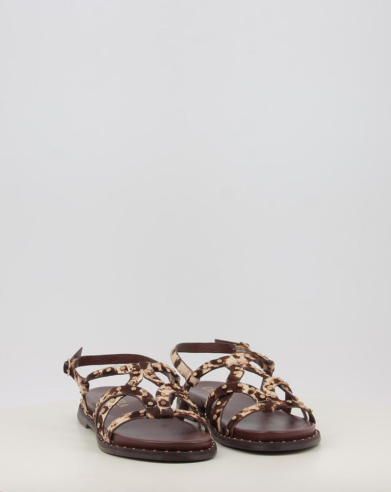 Sandales CARMELA 16239207 animal print
