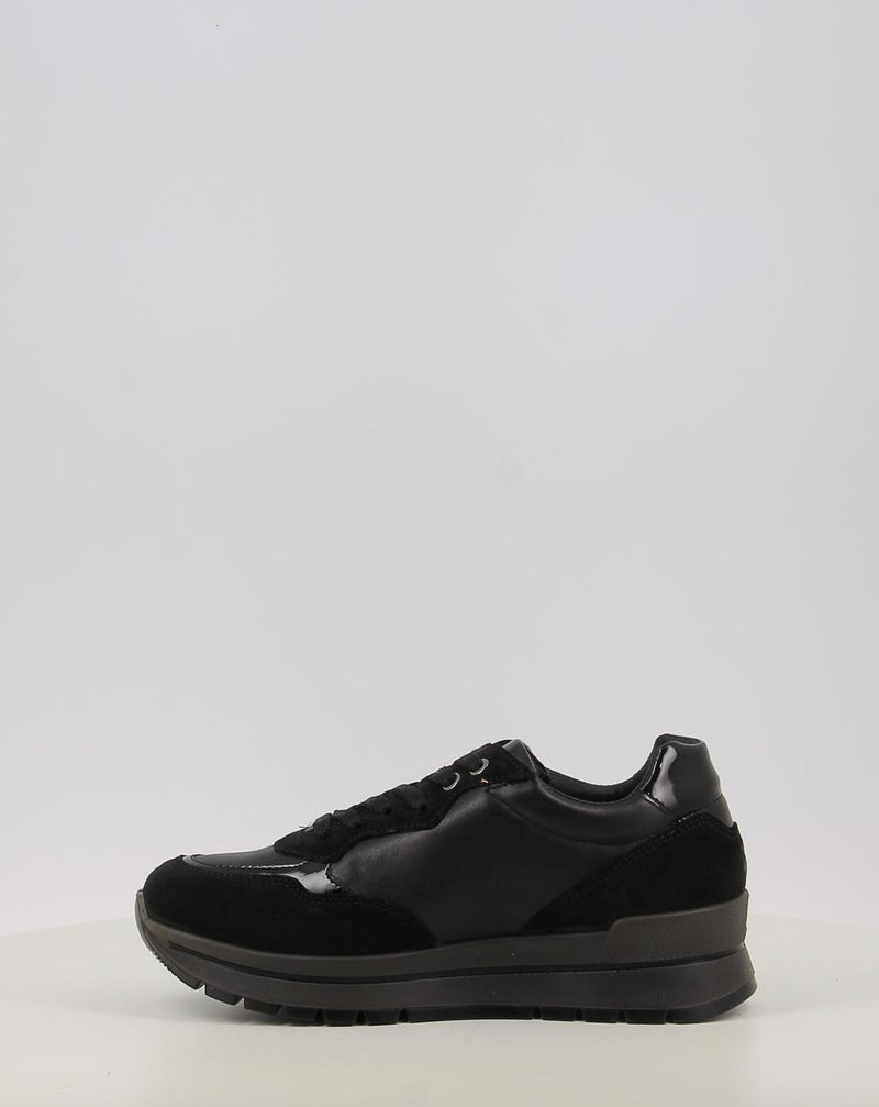 Chaussures IGI & CO D.ANIKA GTX 86765 noir
