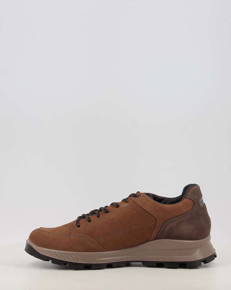 Chaussures IGI & CO U.ELOY GTX 86295 cuir